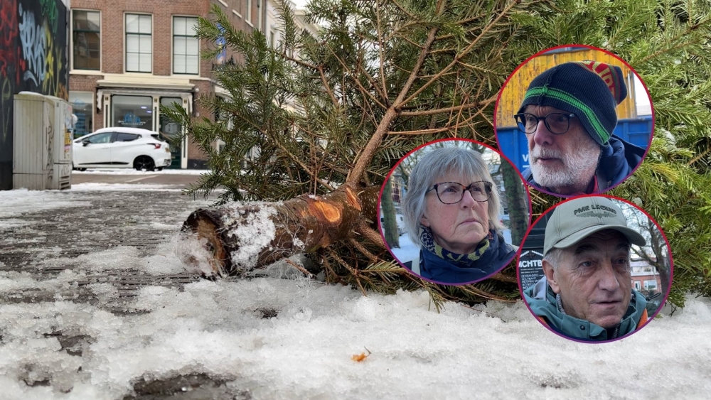‘Liever zwerfbomen dan zwerfvuil’: gedumpte kerstbomen bij containers in Schiedam