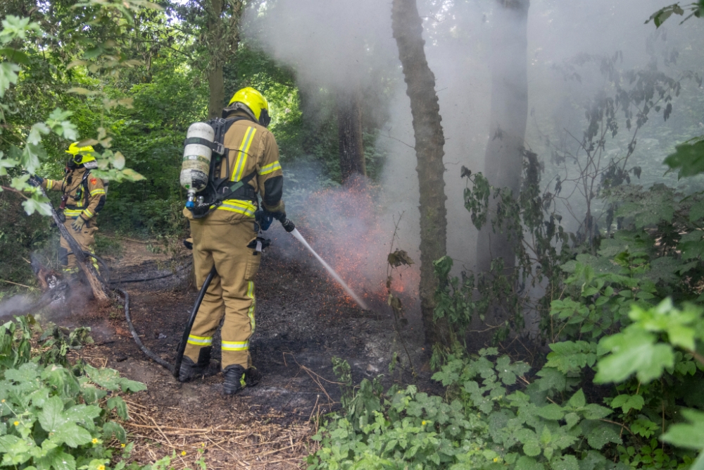 Brand op eilandje in Beatrixpark