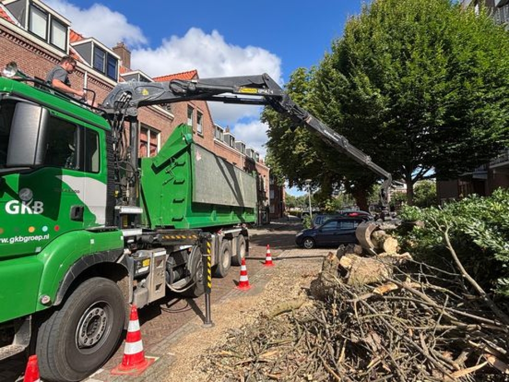 Flinke tak beschadigt woningen in De Gorzen, buurtbewoners waarschuwden de gemeente al eerder