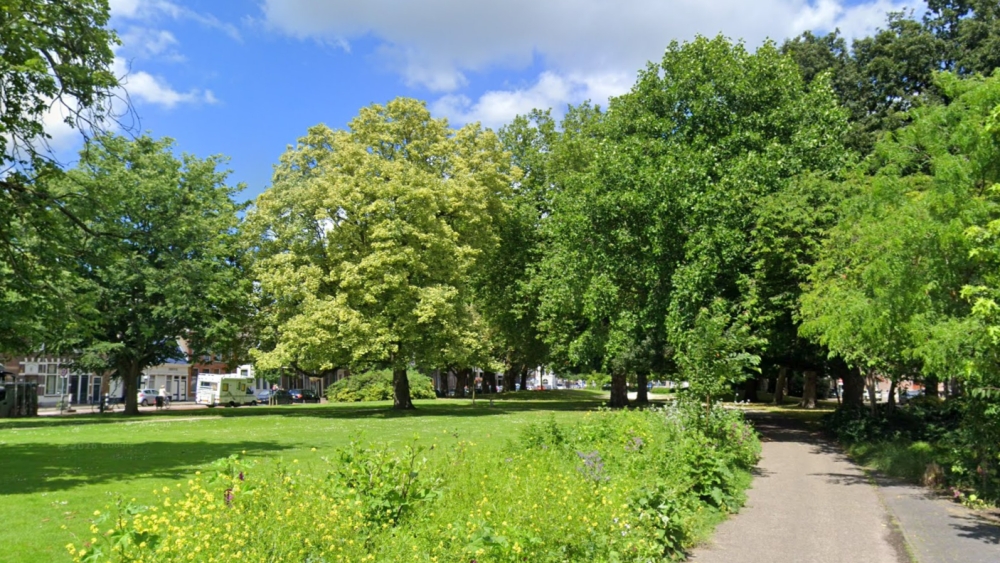 Twee honden overleden na uitlaten in park De Plantage: politie start onderzoek