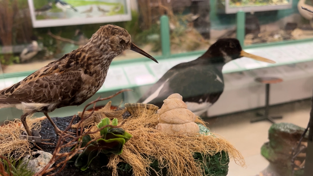 Natuurcentrum Boshoek start petitie voor behoud