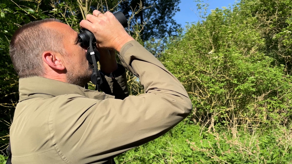 Vogelspotten in de Broekpolder tijdens Nationale Vogelweek: 'Altijd wat te beleven'
