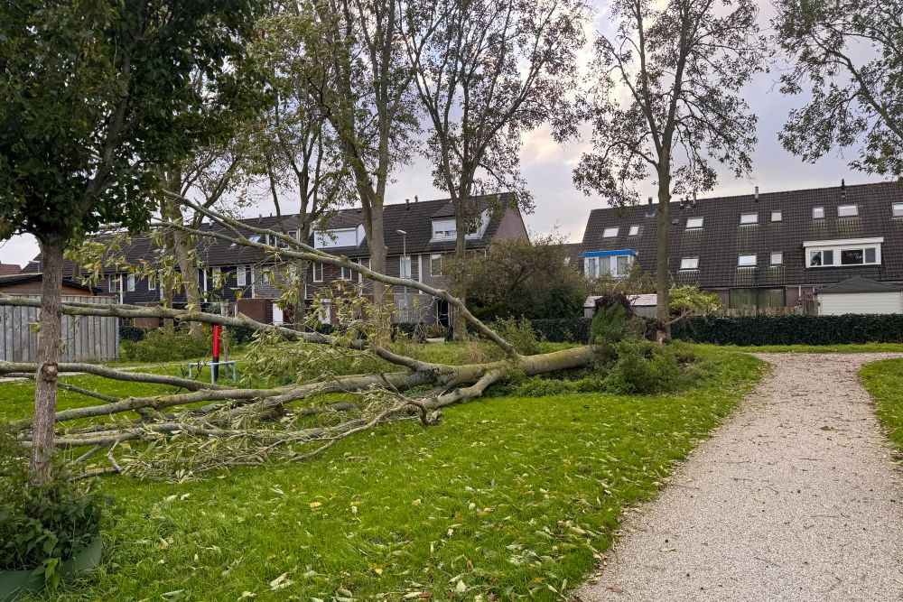 Stormschade in Schiedam, maar grote incidenten blijven uit