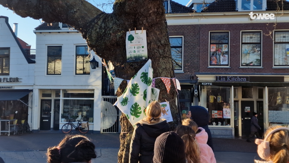Posters tonen Schiedammers het belang van bomen