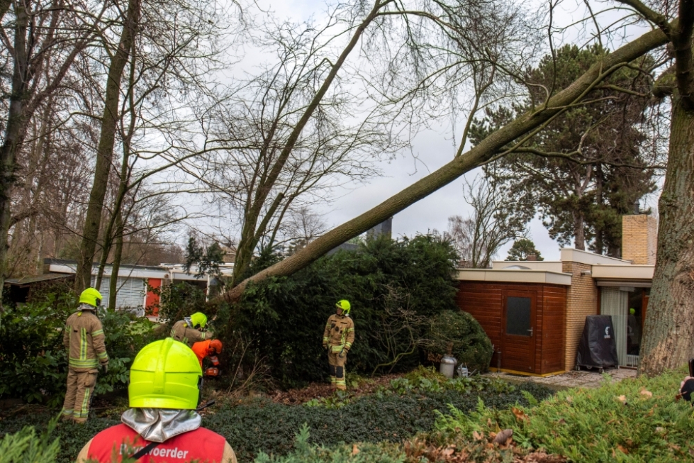 Boom overleeft de windstoten niet