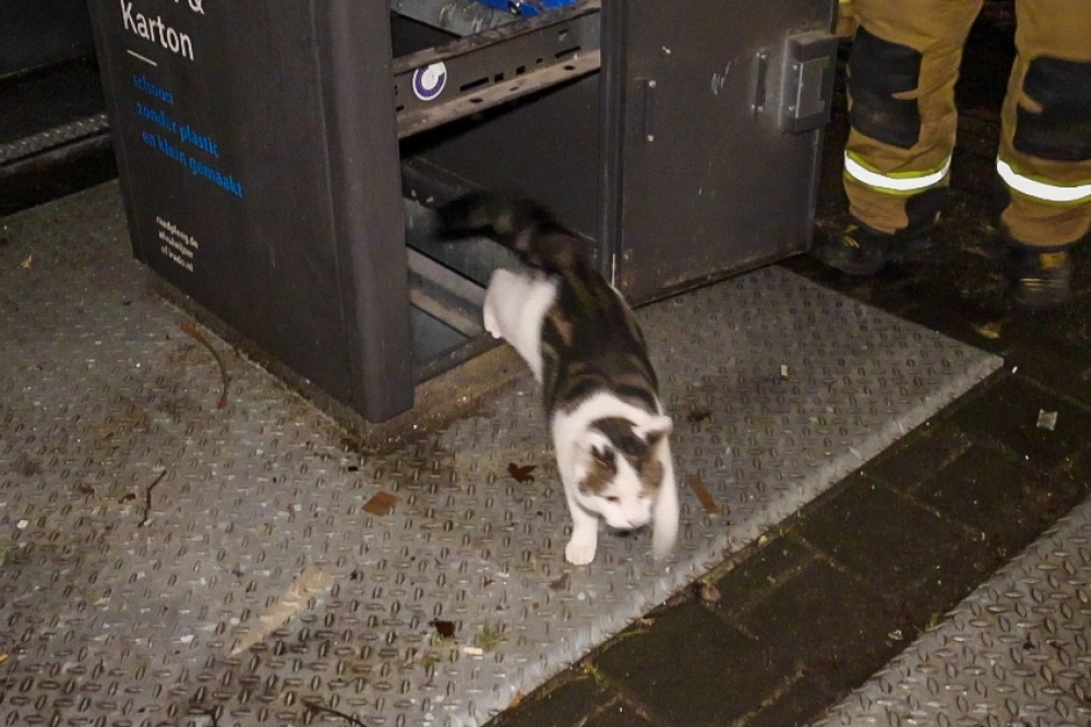 Kat gered uit ondergrondse container in Vlaardingen