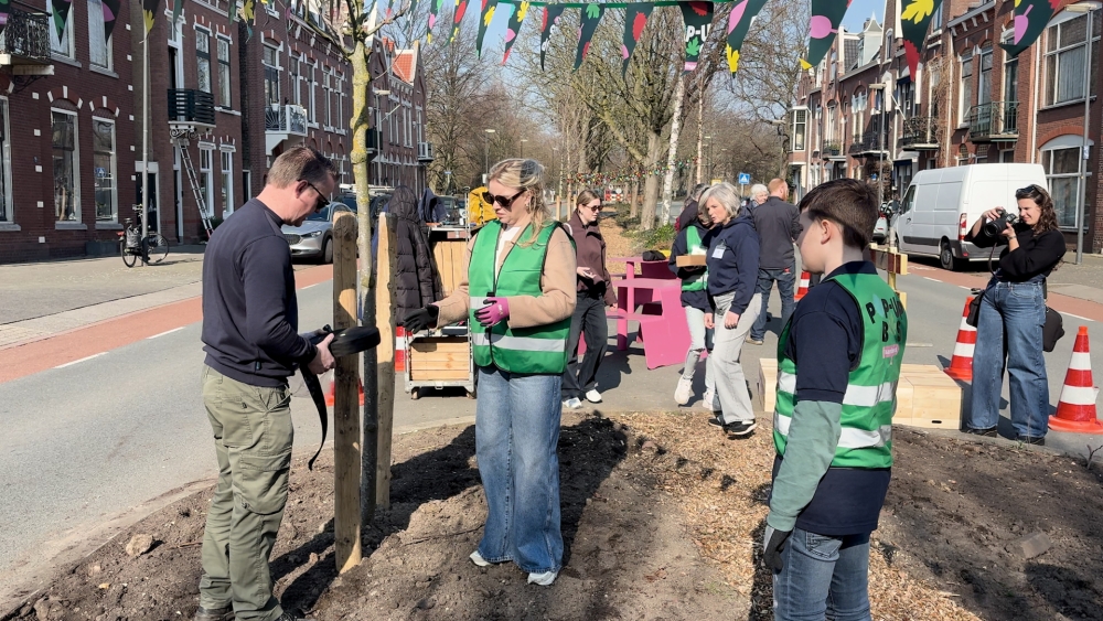 Bomen van pop-upbos vinden eindbestemming aan de Binnensingel in Vlaardingen