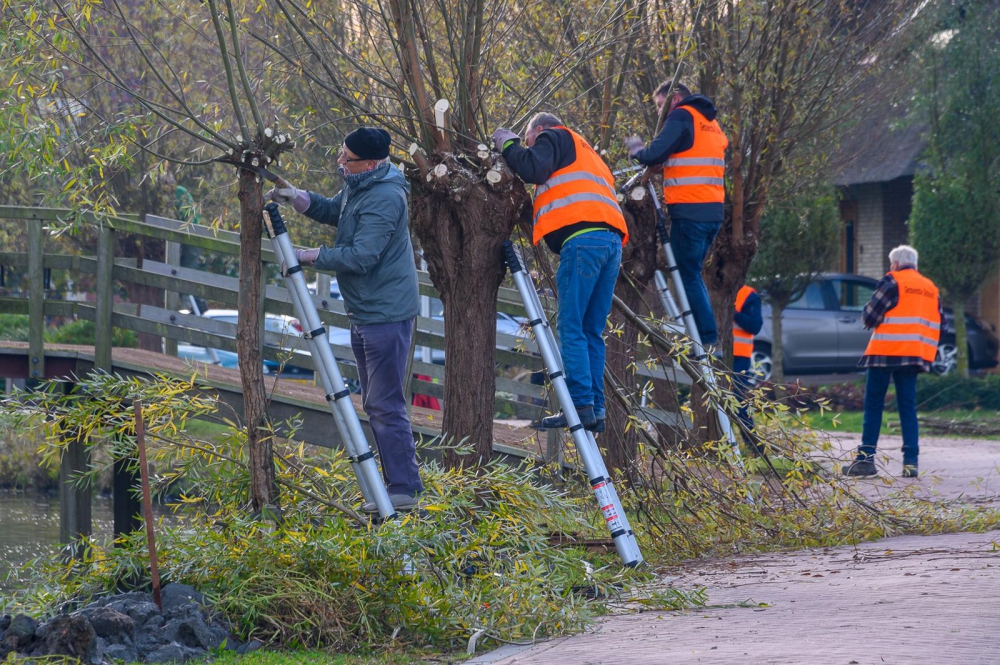 Natuurlijk Delfland gaat weer wilgen knotten