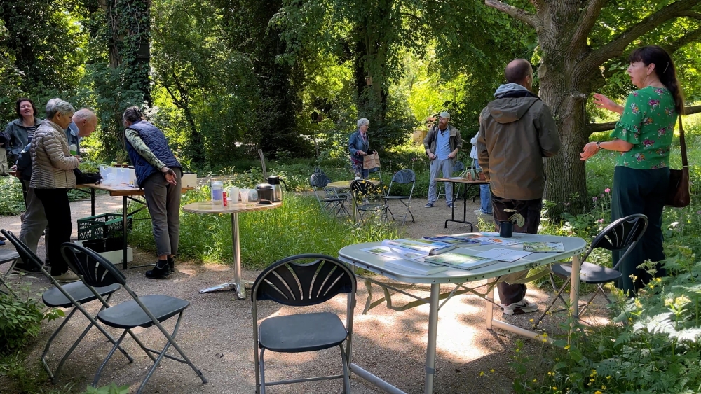 Stekjes ruilen in de Heemtuin: 'Véél goedkoper dan bij het tuincentrum'