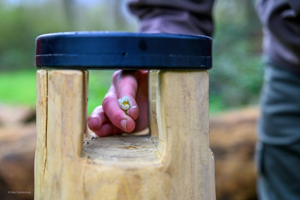 Goed kijken wat er groeit: loep geplaatst in Klauterwoud in de Broekpolder