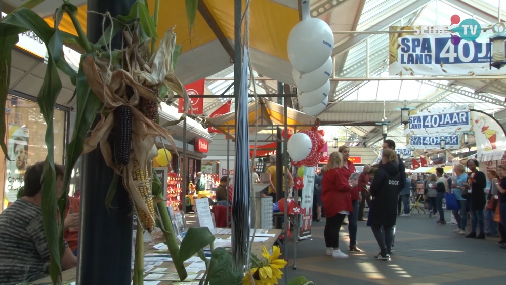 Schiedamse politiek laat politieke markt aan zich voorbijgaan