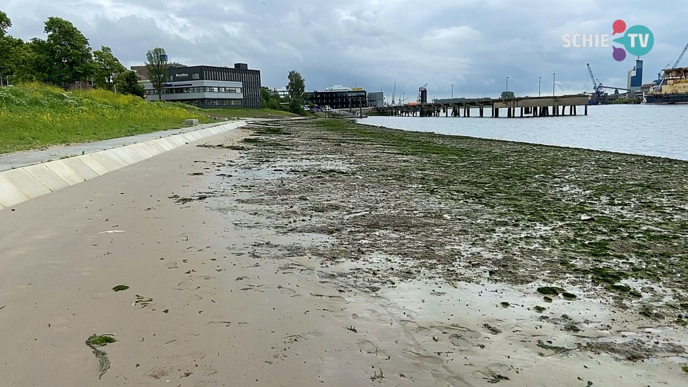 Getijdenpark in Zuid krijgt een &#039;vangarm&#039; tegen drijvend afval