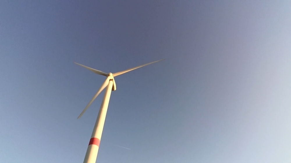 Schiedamse strijdt als Don Quichot tegen windmolens op Maasvlakte