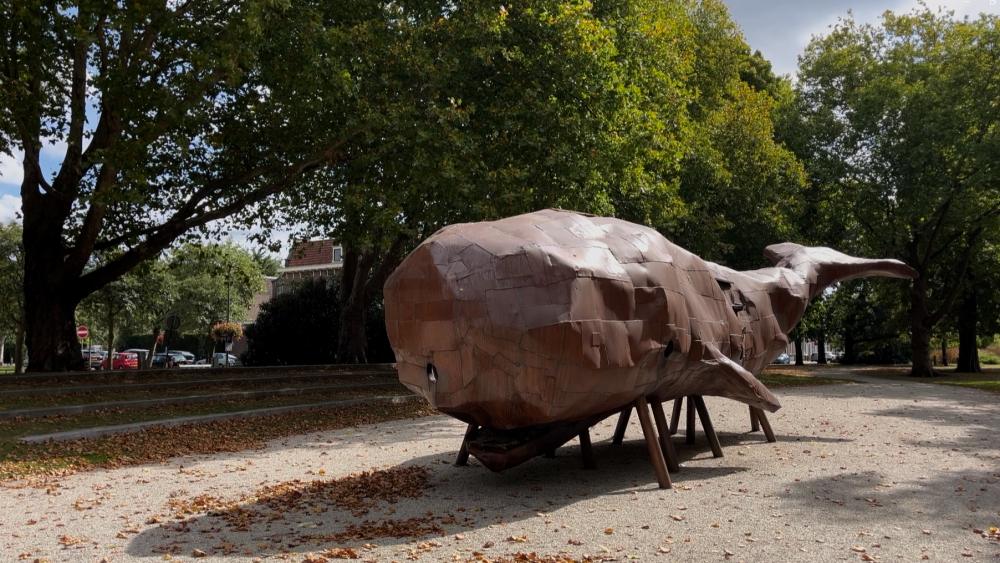 De veertien meter lange walvis blijft nog een jaar liggen in Schiedam