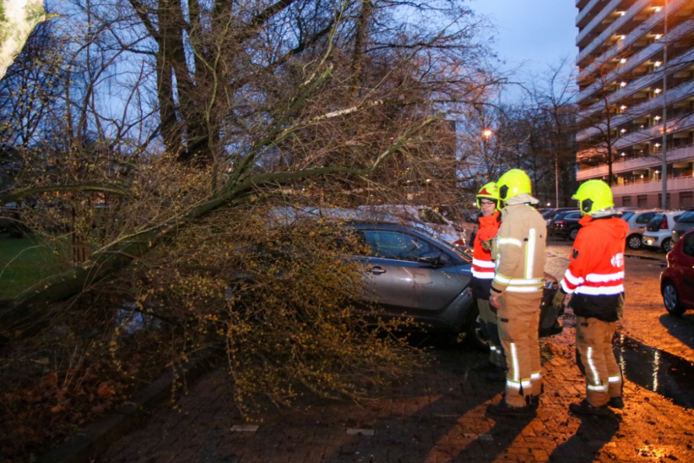 Toch weer stormschade vandaag: twee bomen om, één tegen auto aan