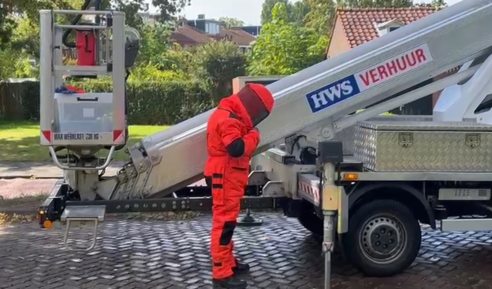 Meer nesten, meer kosten: onduidelijk beleid rond bestrijding Aziatische hoornaar