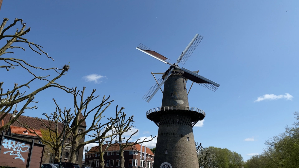 Schiedam komt met de schrik vrij: anderhalve meter lange klep valt van molen De Walvisch