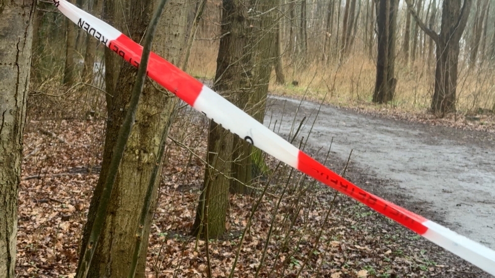 Eén jaar cel en jeugd-tbs voor 13-jarige jongen die Schiedamse Joni doodstak