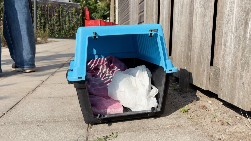 Na tien jaar stopt Leonie met Facebookgroep voor vermiste dieren: ‘Ik ben 24/7 bezig’