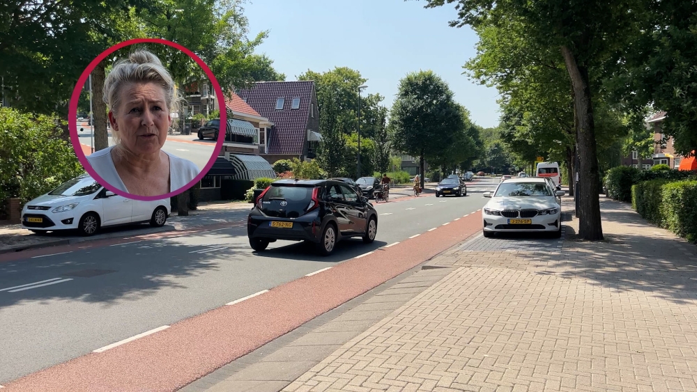 'Snelheid Willem de Zwijgerlaan ligt te hoog', bewoners vragen om maatregelen