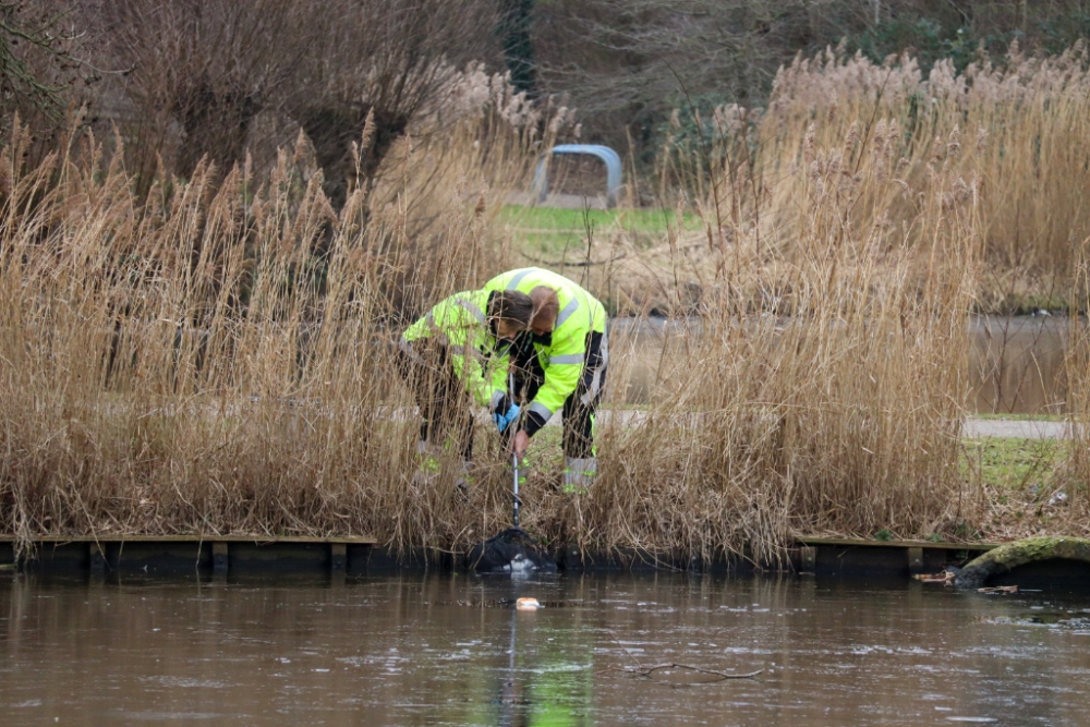 Brandweer en Dierenambulance redden meeuw uit half bevroren water