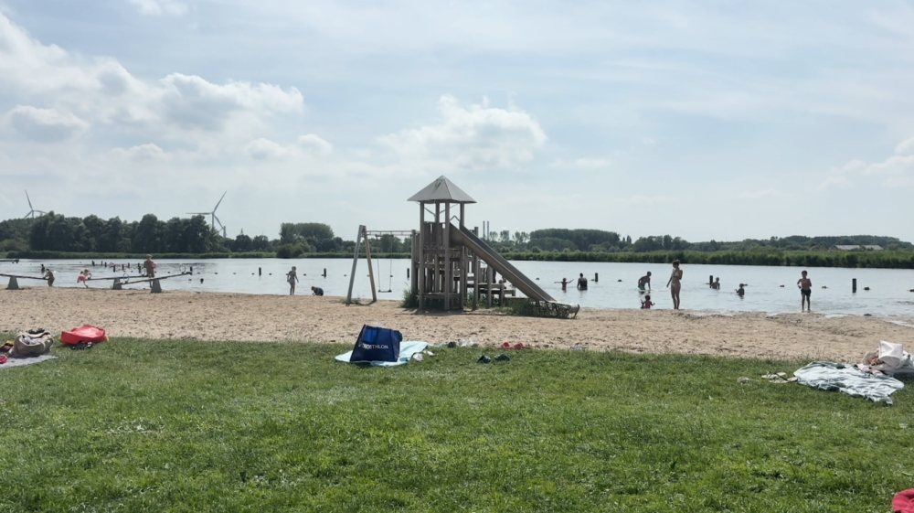 Niet alleen blauwalg, ook poepbacterie gevonden in Krabbeplas in Vlaardingen