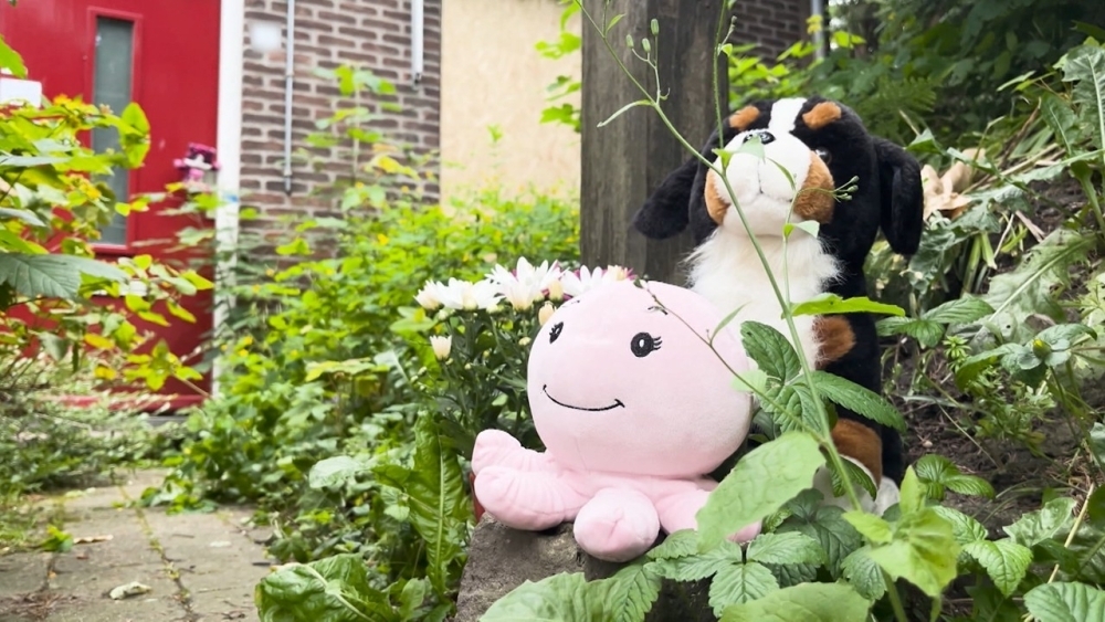 Vlaardings pleegmeisje symbool van alles wat misgaat in jeugdzorg, Tweede Kamer bijna moedeloos