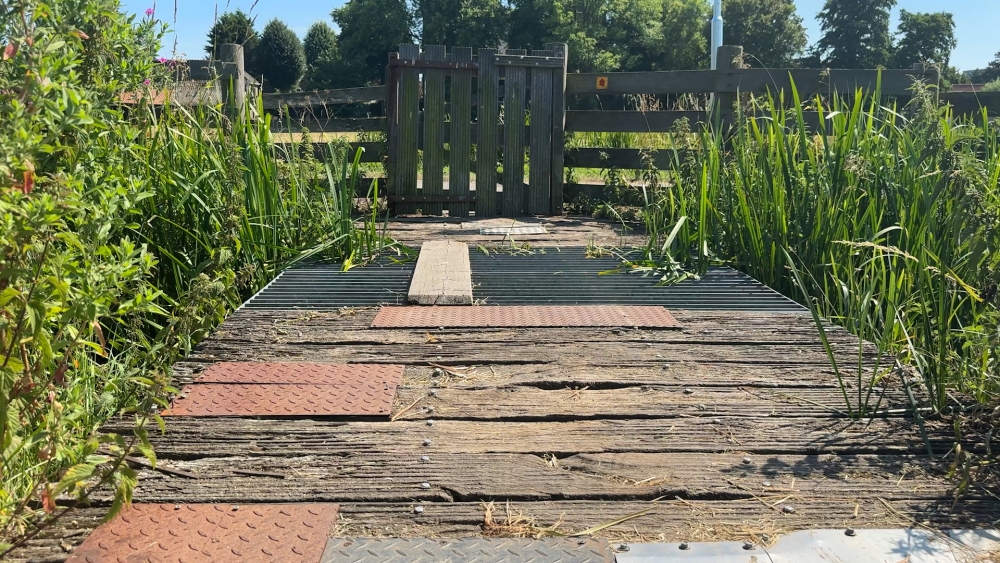 Make-over voor Park Kethel: oude bruggen eruit, nieuwe wandelpaden erin