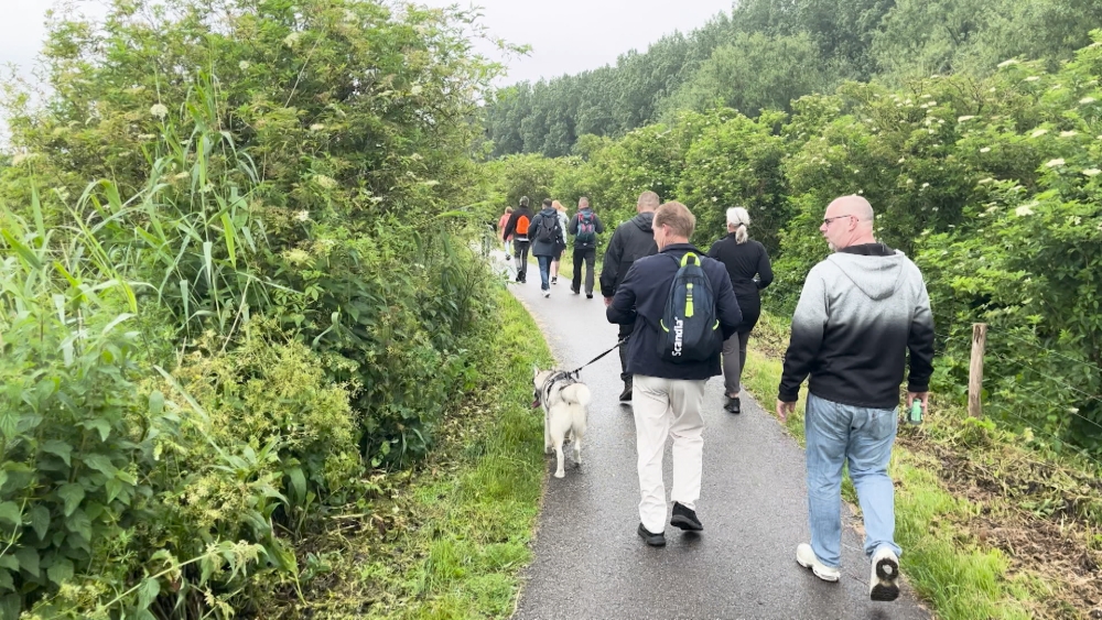 Haring en Bier Wandeltocht wijzigt route, want door de Zuidbuurt is te duur
