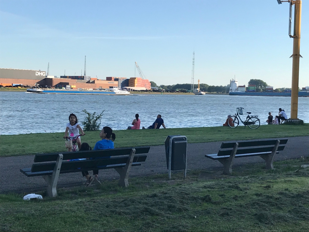 &#039;De overlast, het nieuwe parkeerverbod en de straatraces zijn menig bewoner Maasboulevard een doorn in het oog&#039;