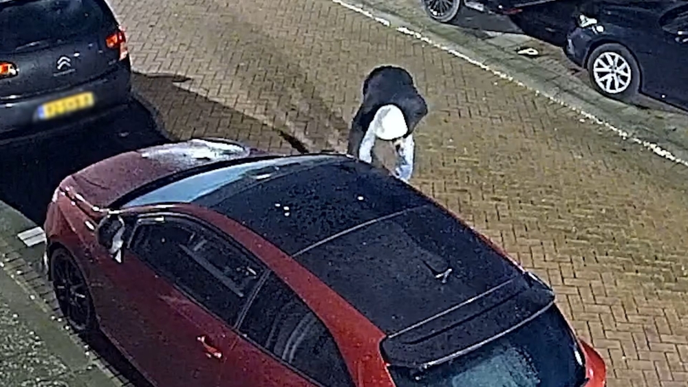 Beelden van brandstichter auto Sweelinckstraat, ook filmende handlanger in beeld