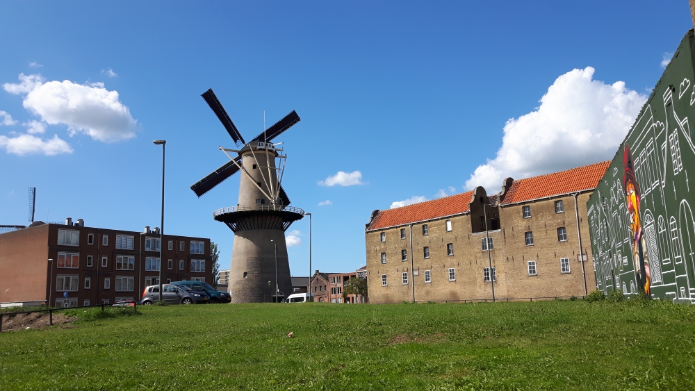 Schiedamse molens op zaterdag van Open Monumentendag open