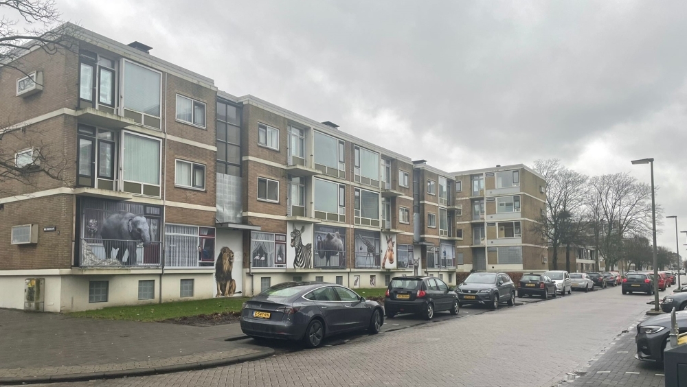 De Nolenslaan in Schiedam-Nieuwland