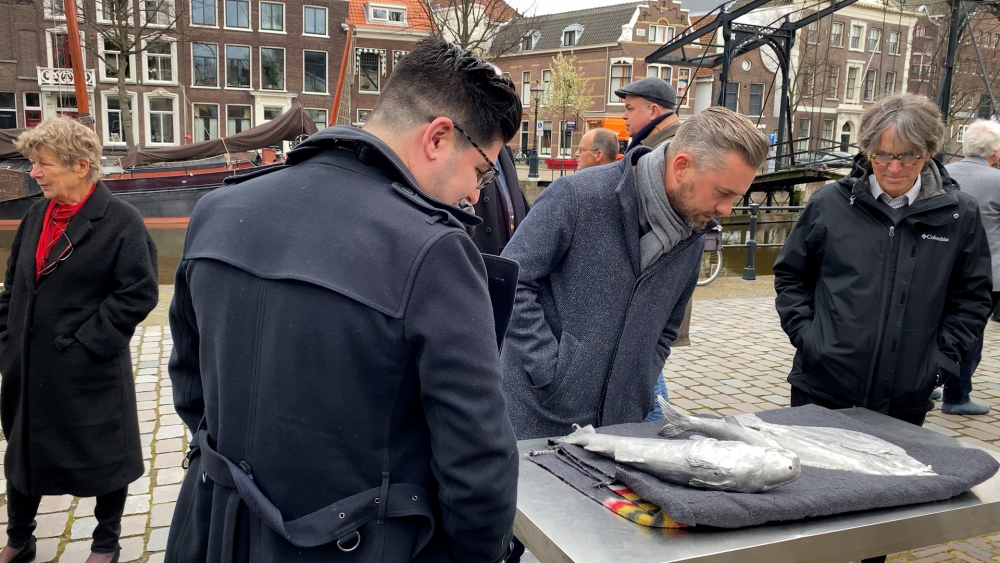 Dit is waarom er vissen in een boom hangen in het centrum van Schiedam