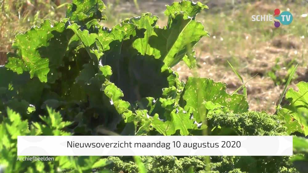 Het nieuwsoverzicht van maandag 10 augustus 2020