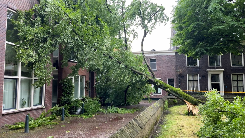 Metershoge boom valt op huis in centrum van Schiedam