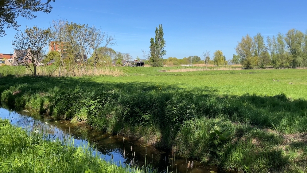 Begin 2027 nieuwe locatie voor Schiedams azc, weidegebied meegenomen in onderzoek