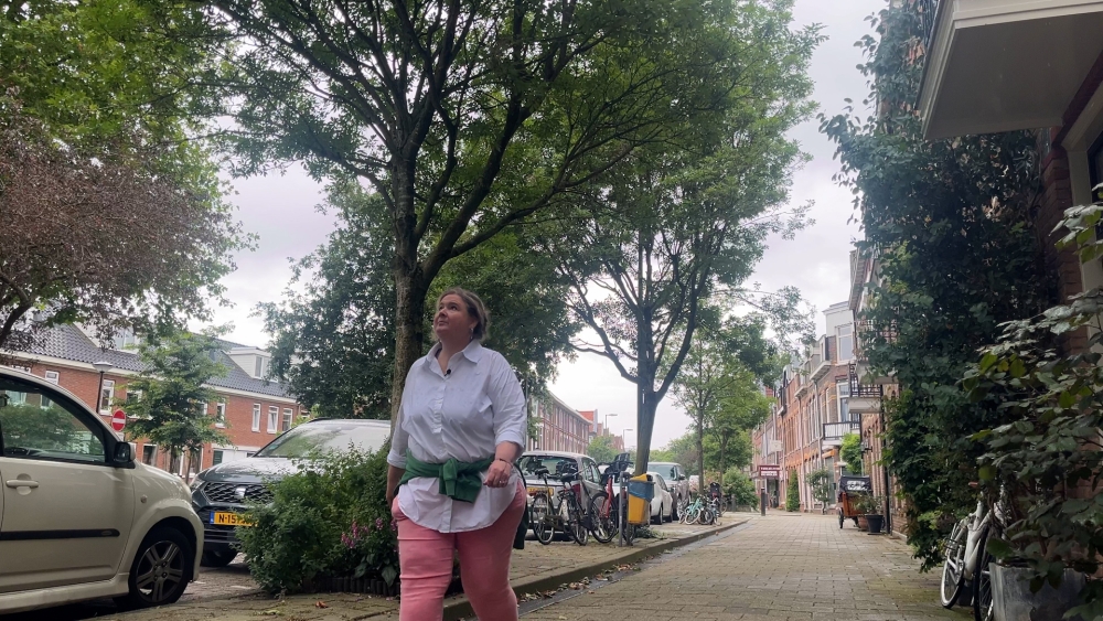 Door verwijderen van veertig bomen wordt Schiedamse Sint Luduinastraat ‘betonnen jungle’