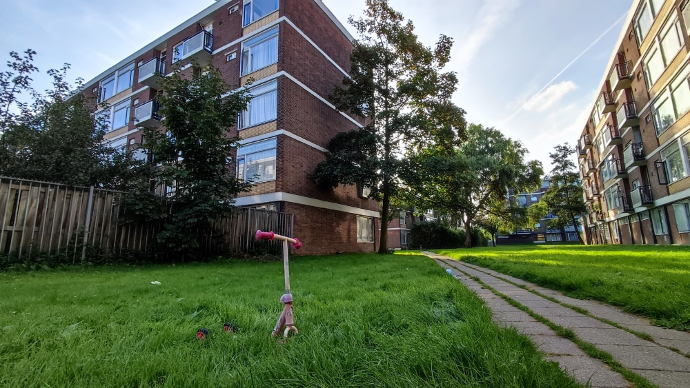 Sloop Staatsliedenbuurt half jaar vertraagd door vondst vleermuizen en huismussen