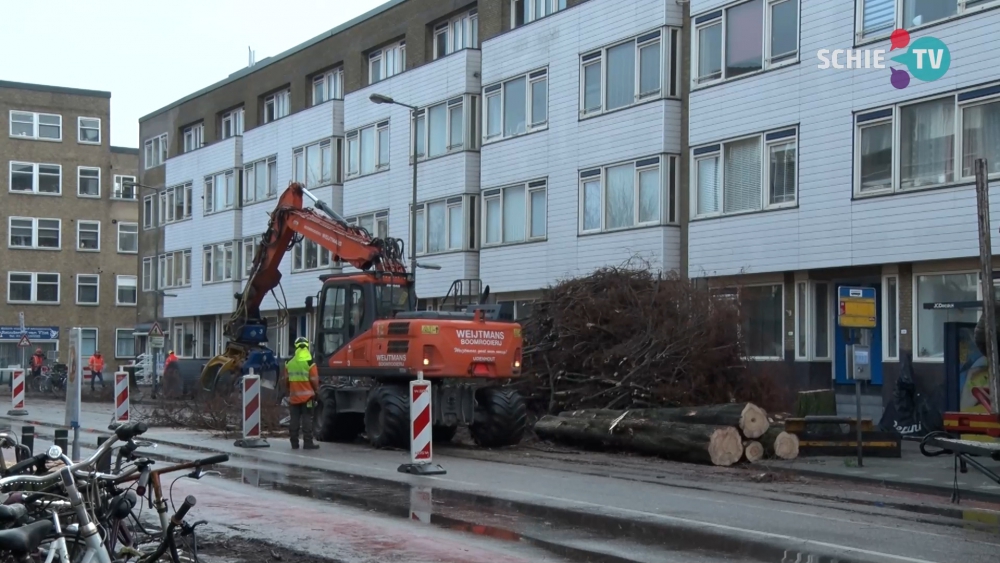 Bomen gekapt op de de Lorentzlaan en de PKO-laan in Oost