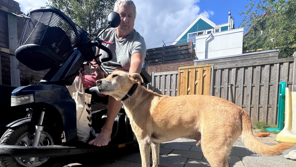 Hond Sharpie zet buren op scherp terwijl baasje Harry (69) zijn middagdutje doet