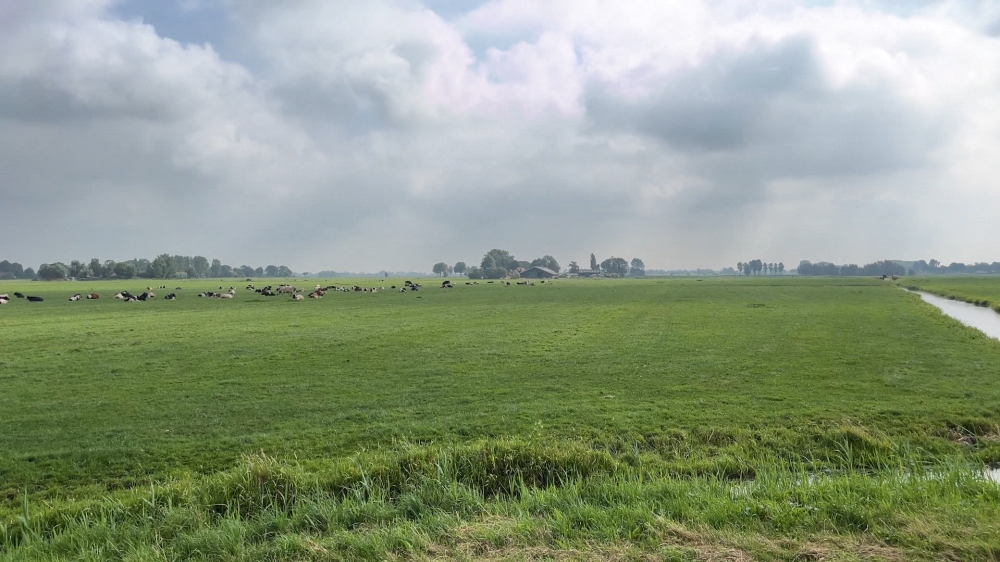 Schiedam stapt uit Landschapstafel om 10.500 euro, Midden-Delfland Vereniging woedend