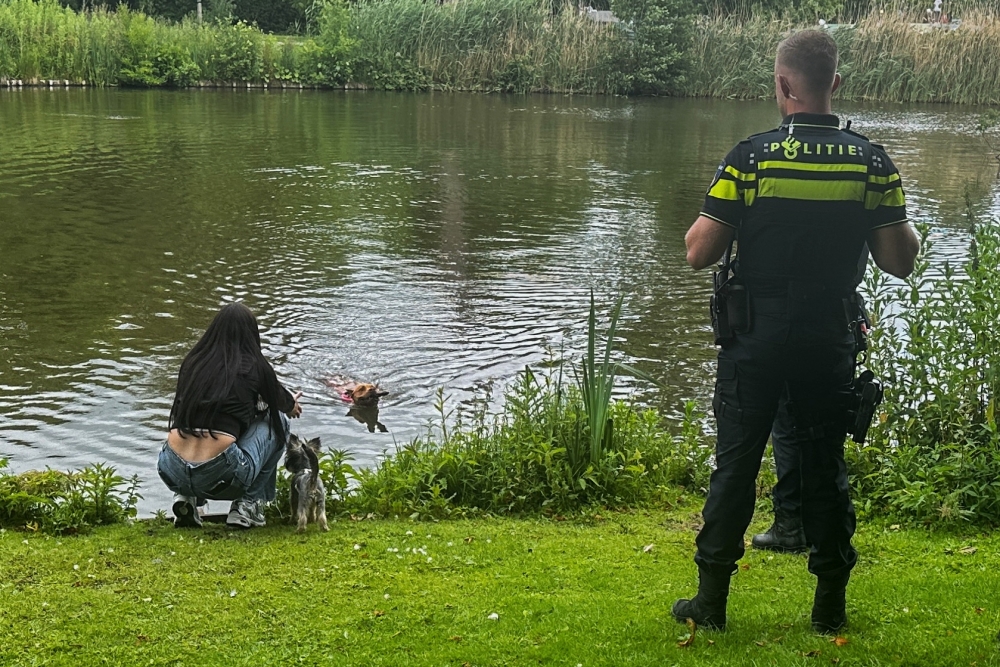 Hond weigert uit het water te komen, agenten krijgen het wel voor elkaar