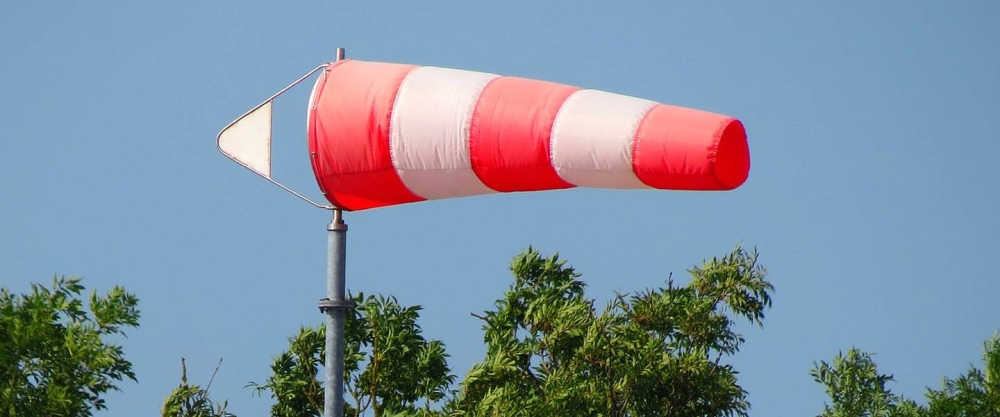 Code geel voorbij, windstoot velt boom in Schiedam