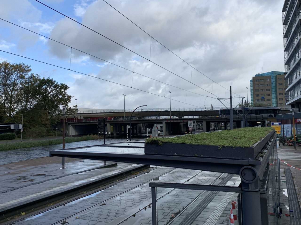 Schiedam heeft nu groene abri&#039;s, maar maaien hoeft niet