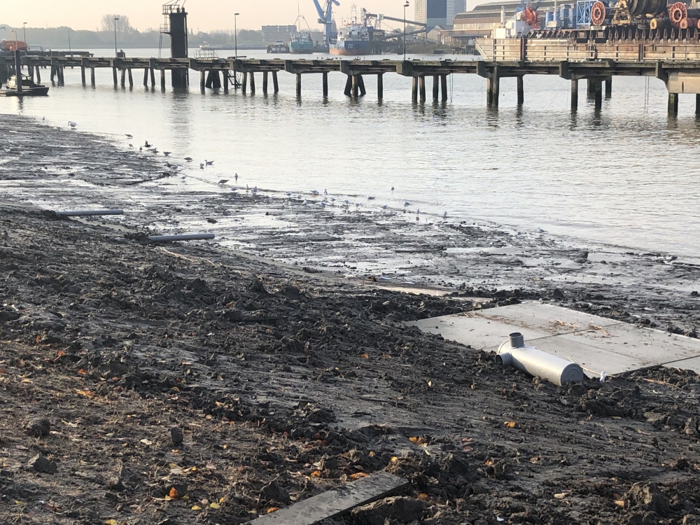 Vogels weten nieuwe oevers nu al te waarderen