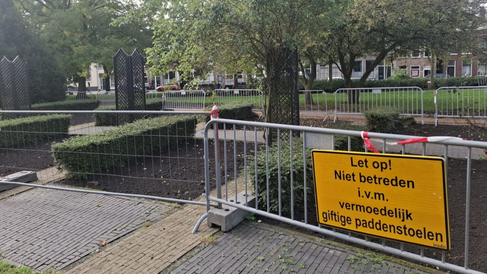 Honden stierven niet aan paddenstoelen, NFI onderzoekt bloembollen als mogelijk oorzaak