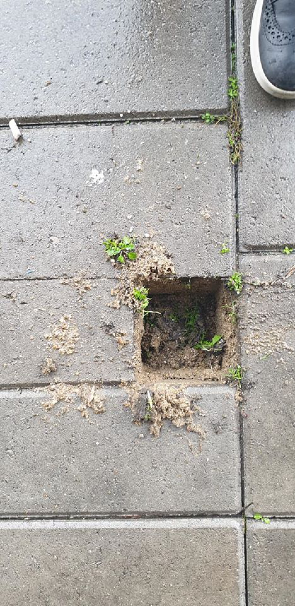 Stolperstein gestolen in Schiedam