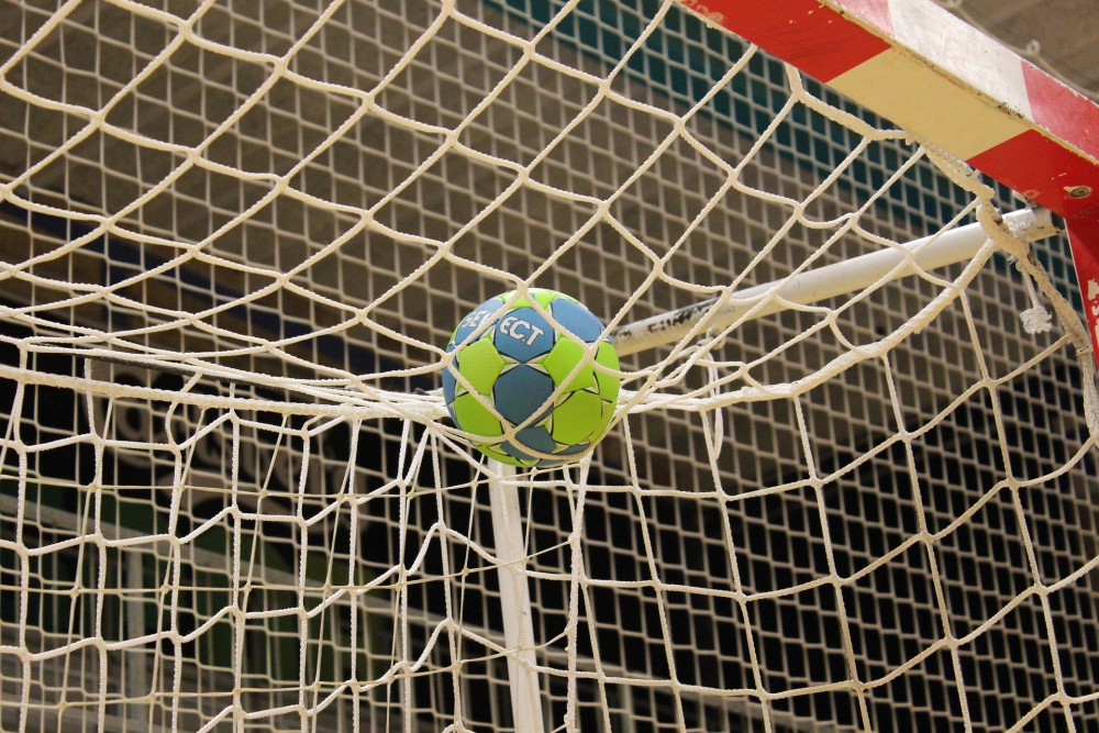 Jankovic in één dag van geven jeugdtraining naar functie als keeperstrainer van Nederlandse handbaldames: &#039;Stond met mijn mond vol tanden&#039;