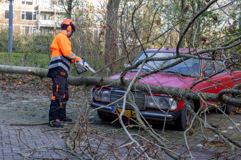 Boom valt op oldtimer en aanhanger